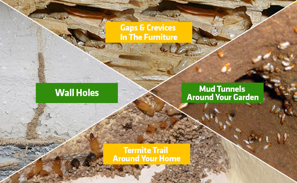 Eco-Friendly Termite Killer Spray – Buy 1 Get 2 Free (Pack of 3) | ⚡ Only Few Packs Left – Grab Yours for Just ₹599