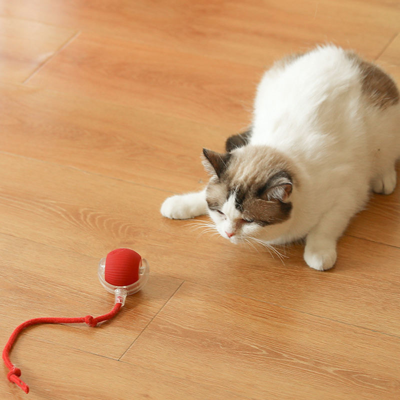 Viral Rolling Ball,Interactive Cat Ball Toy